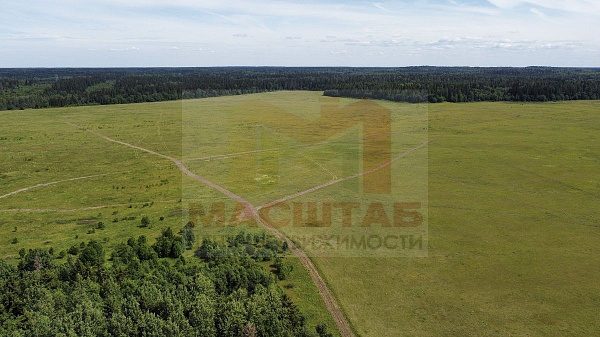 Волосовский район, Курголово, 5 Га