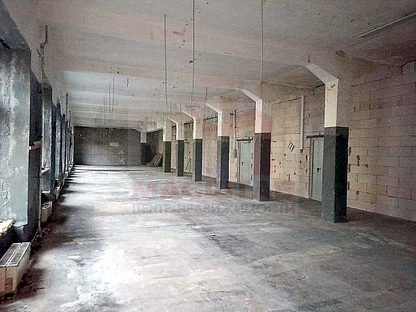 Помещение под студию, мастерскую, склад - 272 м2