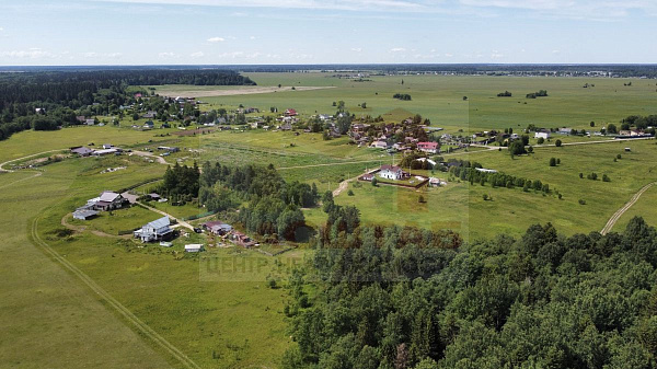 Волосовский район, Курголово, 5 Га