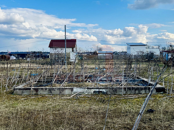 Ленинградская область, Волосовский район, Клопицкое сельское поселение, д. Клопицы
