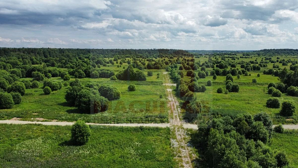 Лесная Долина