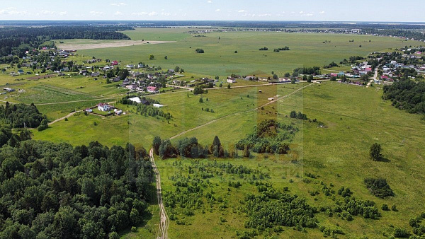 Волосовский район, Курголово, 5 Га