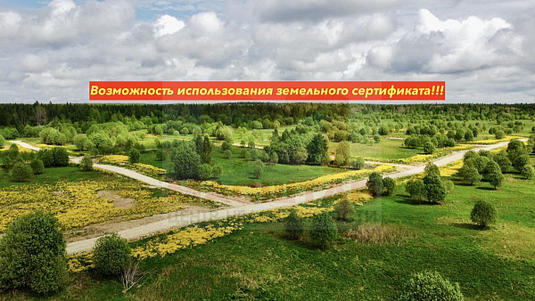 Ленинградская область, Ломоносовский муниципальный район, сельское поселение Лопухинское, Новая Буря