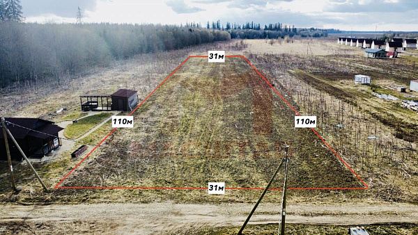 Российская Федерация, Ленинградская область, Волосовский муниципальный район, Клопицкое сельское поселение, д. Клопицы