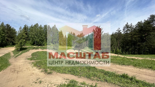 Старая Пустошь 107 соток