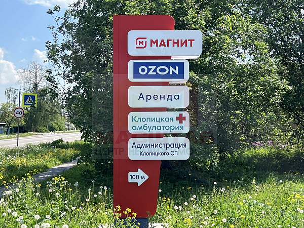 Ленинградская область, Волосовский район, Клопицкое сельское поселение, д. Медниково