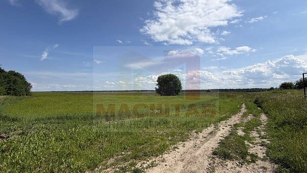 Дятлицы 16, 92 ГА