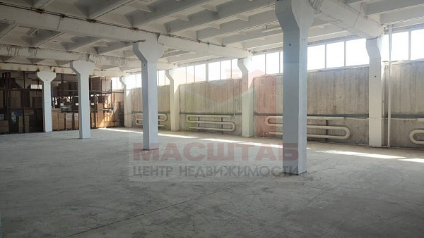 Склад 234 кв.м. Пушкин
