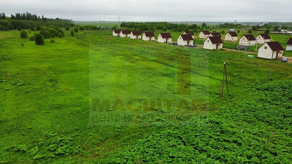 Клопицы