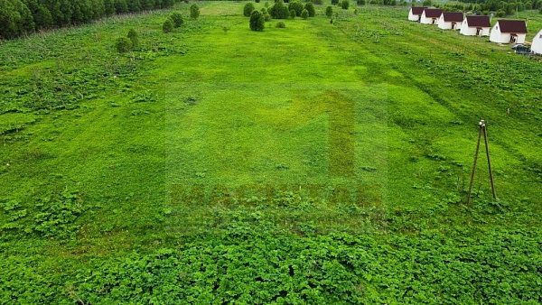 Клопицы