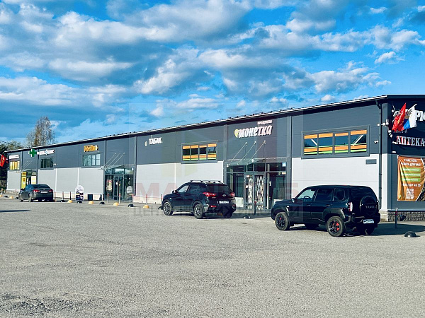 Ленинградская область, Ломоносовский муниципальный район, сельское поселение Лопухинское, Новая Буря.