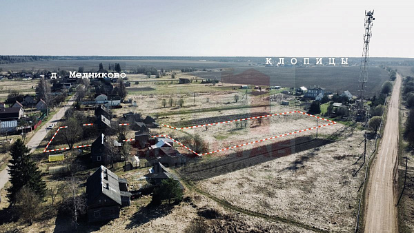 Ленинградская область, Волосовский район, Клопицкое сельское поселение, д. Медниково