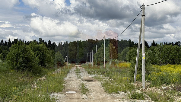 Новая Буря 10 ДНП