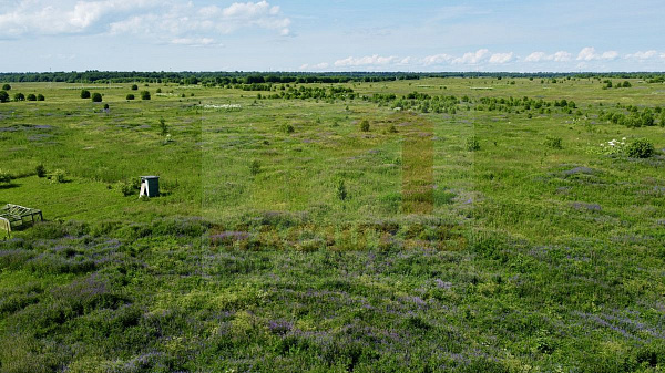 Глухово 6,5 гектара