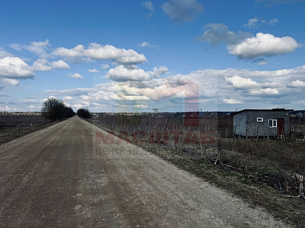 Ленинградская область, Волосовский район, Клопицкое сельское поселение, д. Клопицы