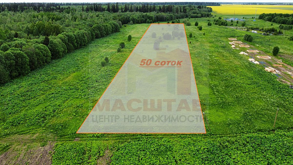 Клопицы