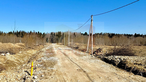 Новая Буря 10 ДНП