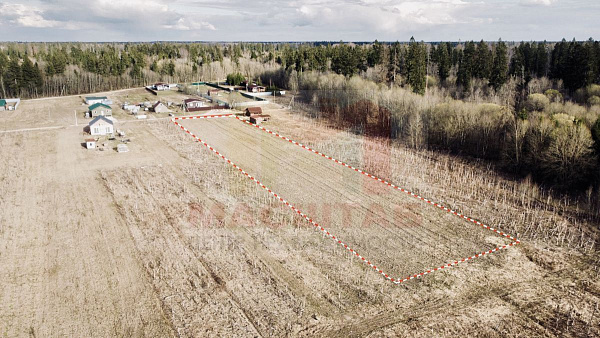 Российская Федерация, Ленинградская область, Волосовский муниципальный район, Клопицкое сельское поселение, д. Клопицы