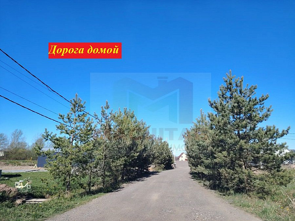 снт елагино
