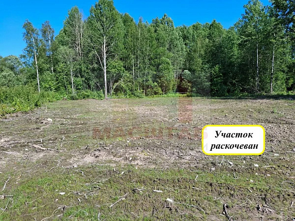 Лодейное Поле 10 соток