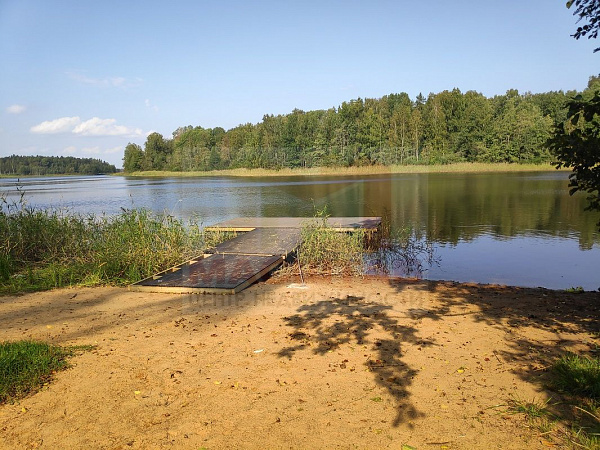 Ромашки