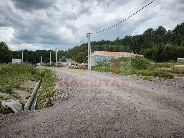Узигонты