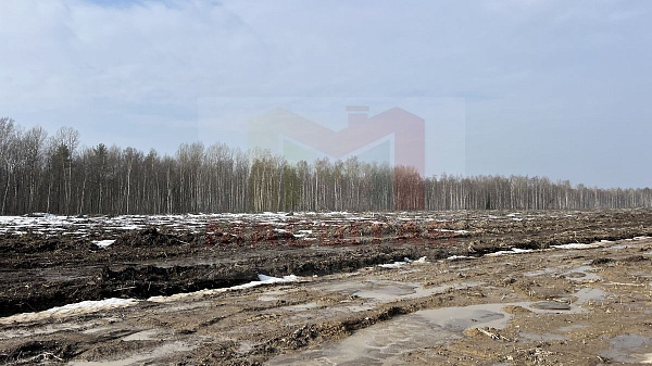Пулковское Шоссе 1 га