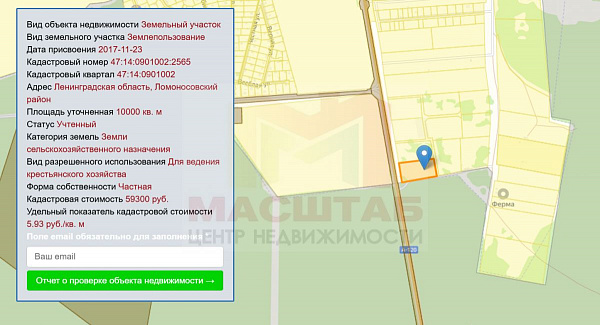 Дятлицы