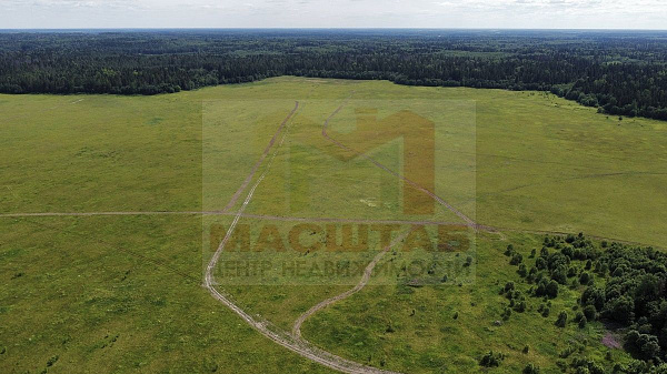 Волосовский район, Курголово, 5 Га
