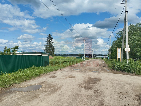 Клопицы