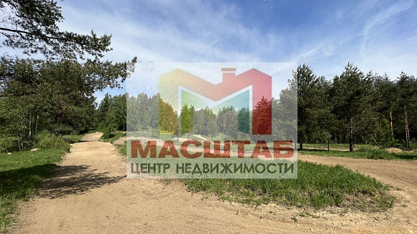 Старая Пустошь 107 соток