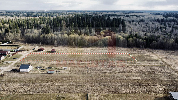 Российская Федерация, Ленинградская область, Волосовский муниципальный район, Клопицкое сельское поселение, д. Клопицы