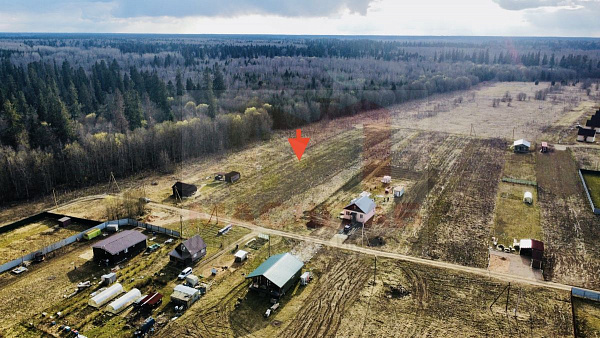 Российская Федерация, Ленинградская область, Волосовский муниципальный район, Клопицкое сельское поселение, д. Клопицы