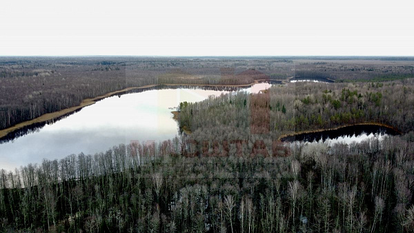 Деревня Жог 10 соток