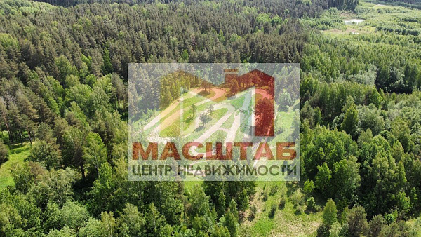 Старая Пустошь 107 соток