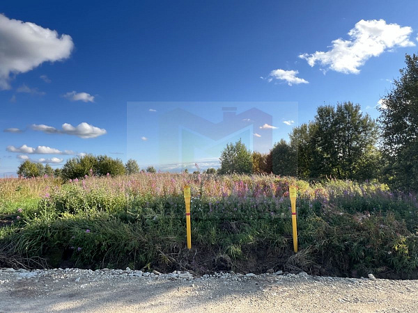 Ленинградская область, Ломоносовский муниципальный район, сельское поселение Лопухинское, Новая Буря.