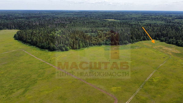 Волосовский район, Курголово, 5 Га