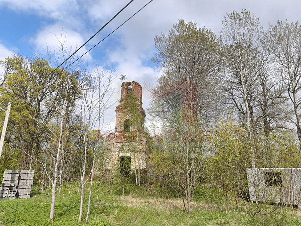 Старые медуши