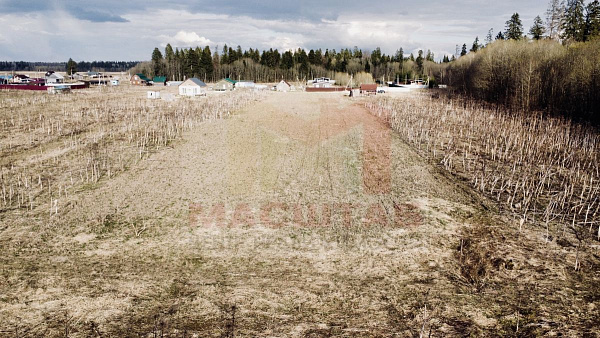 Российская Федерация, Ленинградская область, Волосовский муниципальный район, Клопицкое сельское поселение, д. Клопицы