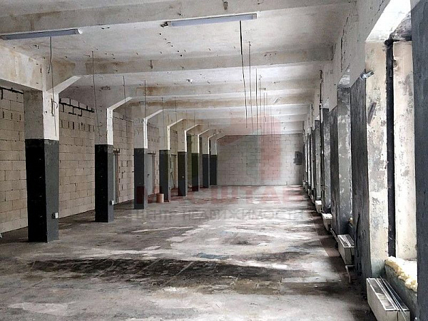 Помещение под студию, мастерскую, склад - 272 м2