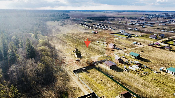 Российская Федерация, Ленинградская область, Волосовский муниципальный район, Клопицкое сельское поселение, д. Клопицы