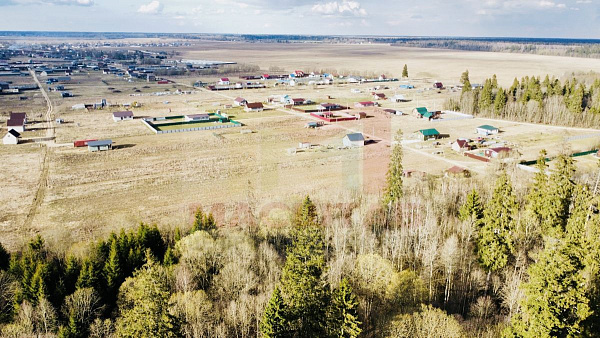 Российская Федерация, Ленинградская область, Волосовский муниципальный район, Клопицкое сельское поселение, д. Клопицы