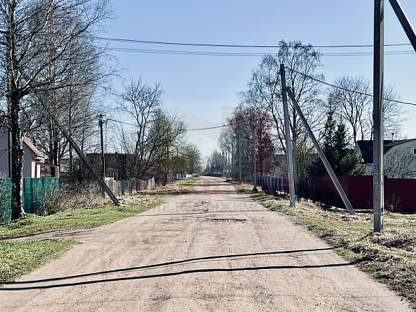 Ленинградская область, Волосовский район, Клопицкое сельское поселение, д. Медниково