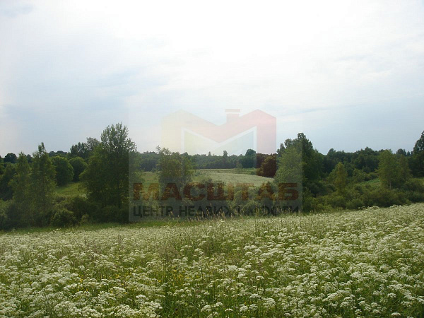 Деревня Русско
