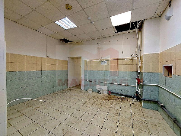 Универсальное помещение - 169 м2